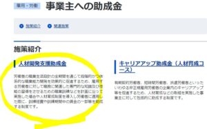 厚生労働省助成金